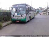 Turin Transportes 1320 na cidade de Conselheiro Lafaiete, Minas Gerais, Brasil, por Carlos Eduardo Rodrigues de Almeida. Número da foto: #4725053.