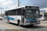 Transflor - Transporte Anflor 110 na cidade de Cidreira, Rio Grande do Sul, Brasil, por Daniel Espindola Dorneles. Número da foto: #:id.