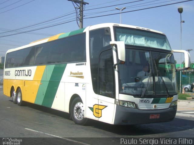 Empresa Gontijo de Transportes 11665 na cidade de São Paulo, São Paulo, Brasil, por Paulo Sérgio Vieira Filho. ID da foto: 4748571.