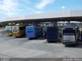 Trans Brasil > TCB - Transporte Coletivo Brasil 1300 na cidade de Brasília, Distrito Federal, Brasil, por Ricardo Vieira. Número da foto: #4749257.