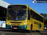 Viação Garcia 7439 na cidade de Maringá, Paraná, Brasil, por Victor Hugo Guedes Pereira. Número da foto: #4751757.