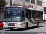 Expresso Gardenia 3060 na cidade de Itajubá, Minas Gerais, Brasil, por Lucas Leite. Número da foto: #4755435.