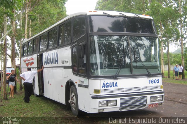 Águia 1603 na cidade de Capão da Canoa, Rio Grande do Sul, Brasil, por Daniel Espindola Dorneles. Número da foto: #4757594.