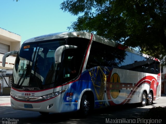 COPAY- Cooperativa de Omnibus de Paysandu 255 na cidade de Belém de Maria, Pernambuco, Brasil, por Maximiliano Priggione  Maximilianopriggione. Número da foto: #4758755.