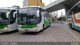 Pássaro Verde 27011 na cidade de Belo Horizonte, Minas Gerais, Brasil, por Carlos Souza. Número da foto: #4758797.