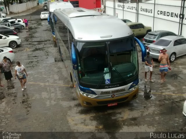 Águia Dourada 2028 na cidade de Maceió, Alagoas, Brasil, por Paulo Lucas. Número da foto: #4761387.