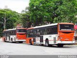 TRANSPPASS - Transporte de Passageiros 8 1015 na cidade de São Paulo, São Paulo, Brasil, por Fabrício Gomes. Número da foto: #:id.