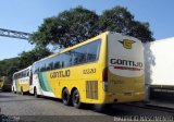 Empresa Gontijo de Transportes 12220 na cidade de Belo Horizonte, Minas Gerais, Brasil, por Maurício Nascimento. Número da foto: #4767353.