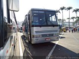Transcorrea Viagens e Turismo 23015 na cidade de Aparecida, São Paulo, Brasil, por Rafael Rodrigues Forencio. Número da foto: #4766371.