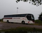Expresso Embaixador 309 na cidade de Pelotas, Rio Grande do Sul, Brasil, por Felipe Ferreira Ribeiro. Número da foto: #4770327.