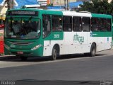 OT Trans - Ótima Salvador Transportes 21031 na cidade de Salvador, Bahia, Brasil, por Rodrigo Vieira. Número da foto: #:id.