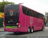 Viação Garcia 7219 na cidade de São Paulo, São Paulo, Brasil, por Marcelo Candido de Oliveira. Número da foto: #4775037.