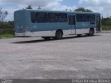 Empresa Auto Viação Santa Rosa 105 na cidade de Pelotas, Rio Grande do Sul, Brasil, por Felipe Ferreira Ribeiro. Número da foto: #4774356.