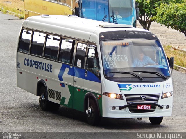 Coopertalse 6103 na cidade de Aracaju, Sergipe, Brasil, por Sergio Marques . Número da foto: #4776692.