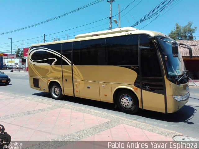 Ônibus Particulares INVERTOUR TRANSPORTES na cidade de , por Pablo Andres Yavar Espinoza. Número da foto: #4779584.