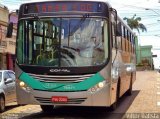 Rosa Turismo 15517 na cidade de Tatuí, São Paulo, Brasil, por Vittor Batista. Número da foto: #4784724.