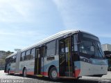 Auto Omnibus Floramar 10 na cidade de Belo Horizonte, Minas Gerais, Brasil, por Daniel Souza. Número da foto: #4792202.