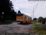 Transportes Coletivos Nossa Senhora da Piedade 196 na cidade de Campo Largo, Paraná, Brasil, por Herik Ferreira da Silva. Número da foto: #:id.