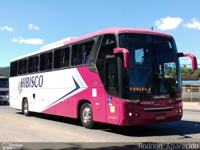 Hibisco Turismo 900 na cidade de Conselheiro Lafaiete, Minas Gerais, Brasil, por Rodrigo  Aparecido. Número da foto: #4796777.