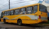Transportes Coletivos Nossa Senhora da Piedade 433 na cidade de Campo Largo, Paraná, Brasil, por Alessandro Fracaro Chibior. Número da foto: #:id.