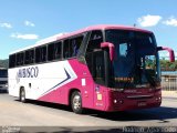 Hibisco Turismo 900 na cidade de Conselheiro Lafaiete, Minas Gerais, Brasil, por Rodrigo  Aparecido. Número da foto: #4796777.