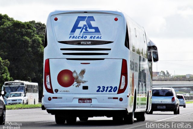 Falcão Real 23120 na cidade de Salvador, Bahia, Brasil, por Gênesis Freitas. ID da foto: 4799786.