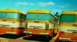 Viação Itapemirim 329 na cidade de Vitória, Espírito Santo, Brasil, por Pedro Castro. Número da foto: #4799484.