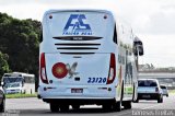 Falcão Real 23120 na cidade de Salvador, Bahia, Brasil, por Gênesis Freitas. Número da foto: #4799786.