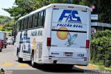 Falcão Real 1130 na cidade de Salvador, Bahia, Brasil, por Gênesis Freitas. ID da foto: :id.