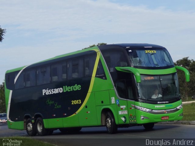 Pássaro Verde 2013 na cidade de Brasília, Distrito Federal, Brasil, por Douglas Andrez. Número da foto: #4730924.