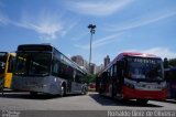 Viação Gato Preto 8 2005 na cidade de São Paulo, São Paulo, Brasil, por Ronaldo Diniz de Oliveira. Número da foto: #4805695.