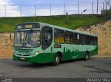 Auto Omnibus Floramar 10163 na cidade de Belo Horizonte, Minas Gerais, Brasil, por Weslley Silva. ID da foto: :id.