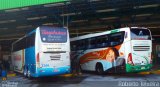 TransAcácia Turismo 3344 na cidade de São Paulo, São Paulo, Brasil, por Roberto Teixeira. Número da foto: #4734382.