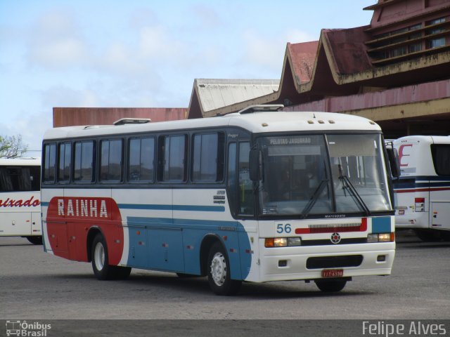 Rainha Transportes 56 na cidade de Pelotas, Rio Grande do Sul, Brasil, por Felipe Alves. Número da foto: #4738907.