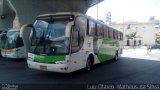 Pássaro Verde 27017 na cidade de Belo Horizonte, Minas Gerais, Brasil, por Luiz Otavio Matheus da Silva. Número da foto: #:id.