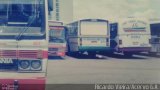 Transprogresso 271 na cidade de SIA, Distrito Federal, Brasil, por Ricardo Vieira. Número da foto: #4742440.