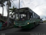 Auto Omnibus Floramar 10163 na cidade de Belo Horizonte, Minas Gerais, Brasil, por Edson Reis de Araujo. Número da foto: #:id.