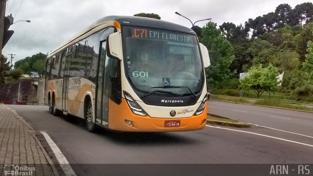 Visate - Viação Santa Tereza 601 na cidade de Caxias do Sul, Rio Grande do Sul, Brasil, por Alexandre Rodrigo. Número da foto: #4744787.