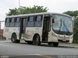 VIPE - Viação Padre Eustáquio 1419 na cidade de São Caetano do Sul, São Paulo, Brasil, por Felipe Gonzales. Número da foto: #4744692.