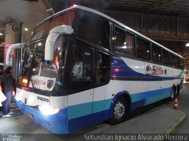 Pullman Setter  na cidade de , por Sebastián Ignacio Alvarado Herrera. Número da foto: #5410079.