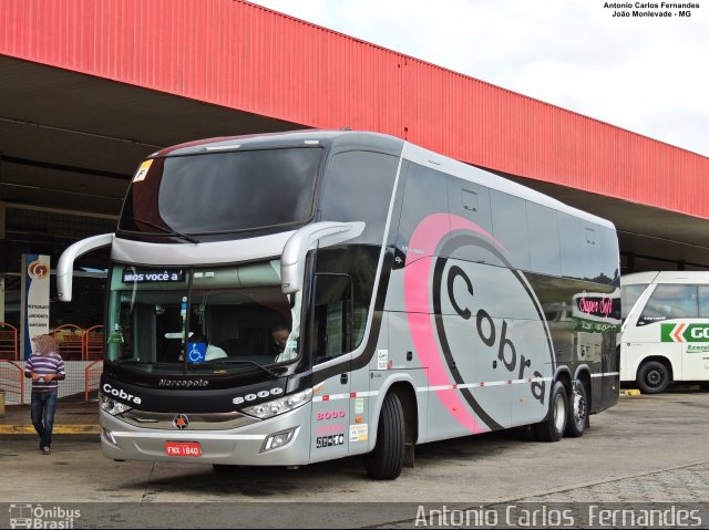 Cobra Viagens e Turismo 8000 na cidade de João Monlevade, Minas Gerais, Brasil, por Antonio Carlos Fernandes. Número da foto: #5415283.