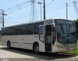 Empresa de Ônibus Campo Largo 22L19 na cidade de Campo Largo, Paraná, Brasil, por Guilherme Bomfim. Número da foto: #5416796.