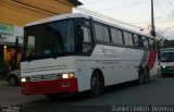 Ecotransporte 4797 na cidade de Jaboatão dos Guararapes, Pernambuco, Brasil, por Daniel Cleiton  Bezerra. Número da foto: #5419343.