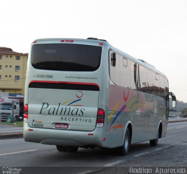 Palmas Receptivo 66101 na cidade de Conselheiro Lafaiete, Minas Gerais, Brasil, por Rodrigo  Aparecido. Número da foto: #5422090.