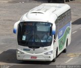 Bel-Tour Transportes e Turismo 384 na cidade de Conselheiro Lafaiete, Minas Gerais, Brasil, por Rodrigo  Aparecido. Número da foto: #5422121.