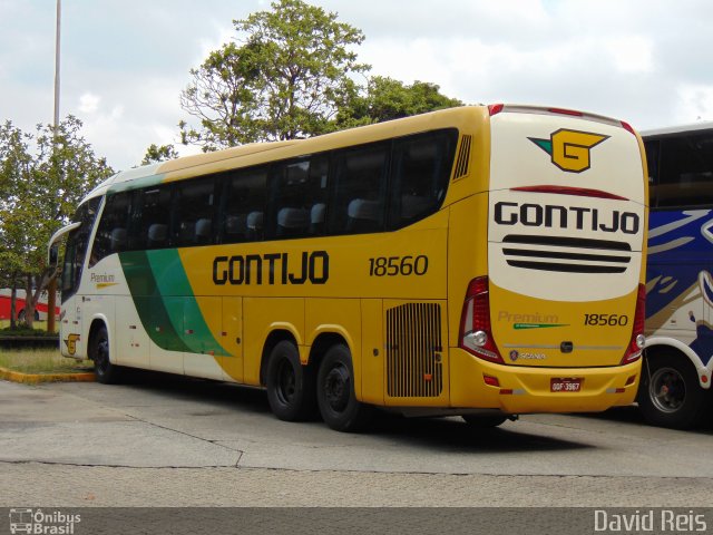 Empresa Gontijo de Transportes 18560 na cidade de São Paulo, São Paulo, Brasil, por David Reis. Número da foto: #5427749.
