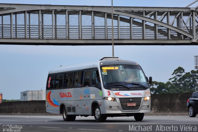 Galo Transporte 2113 na cidade de Barueri, São Paulo, Brasil, por Michael  Alberto Vieira. Número da foto: #5425523.