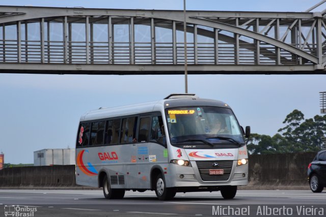 Galo Transporte 2113 na cidade de Barueri, São Paulo, Brasil, por Michael  Alberto Vieira. ID da foto: 5425523.