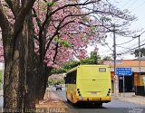 Viação Paraense 30148 na cidade de Belo Horizonte, Minas Gerais, Brasil, por Welisson  Oliveira. Número da foto: #:id.