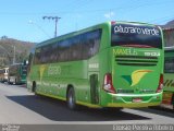 Pássaro Verde 15133 na cidade de Ouro Preto, Minas Gerais, Brasil, por Eloísio Pereira Ribeiro. Número da foto: #:id.